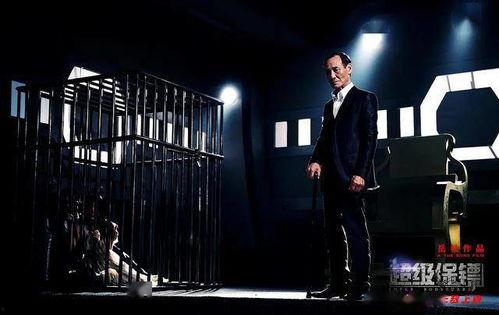 超级保镖在线观看,巅峰对决，守护使命  第3张