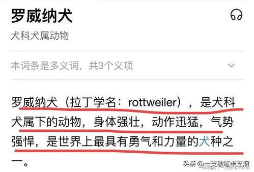 崇州直播爆料案件最新情况,案情揭秘与进展梳理  第2张